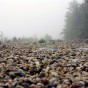 rocky beach on Lake Huron in the fog